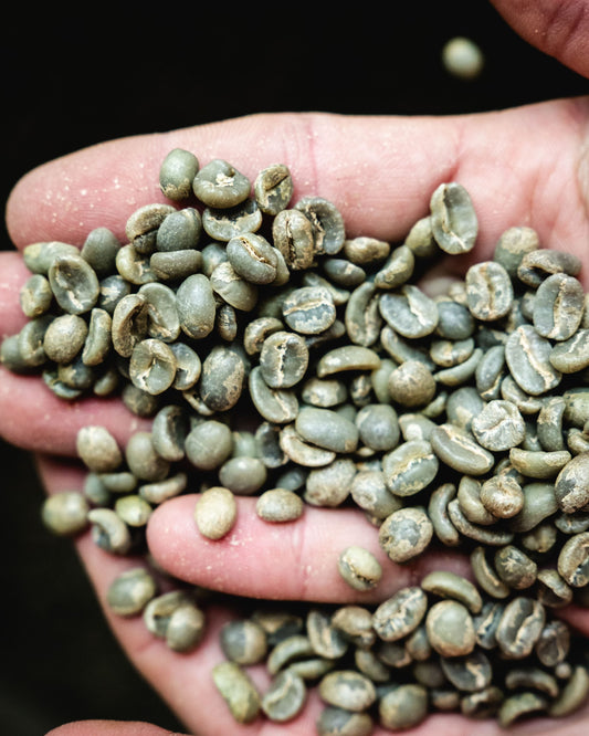 Pourquoi choisir un café bio et équitable ?