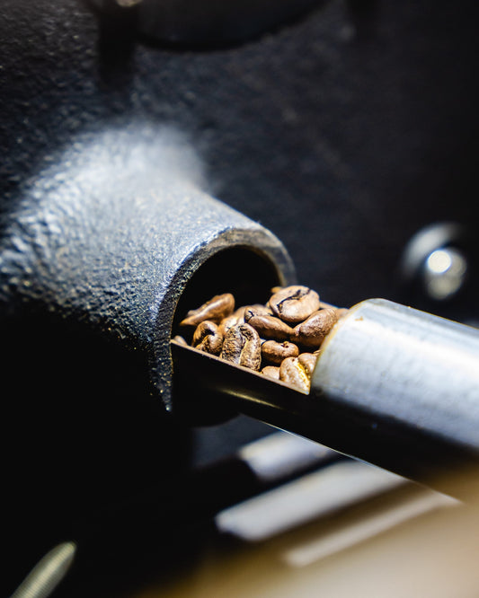Comprendre la torréfaction : du grain à la tasse