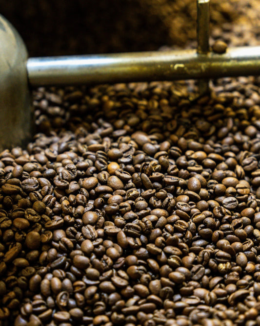 L'importance de la mouture dans la préparation du café