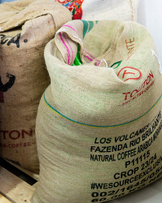 Comment choisir son café selon ses goûts ?