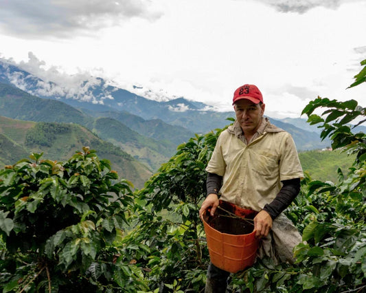 Qu'est-ce que le café de spécialité ?