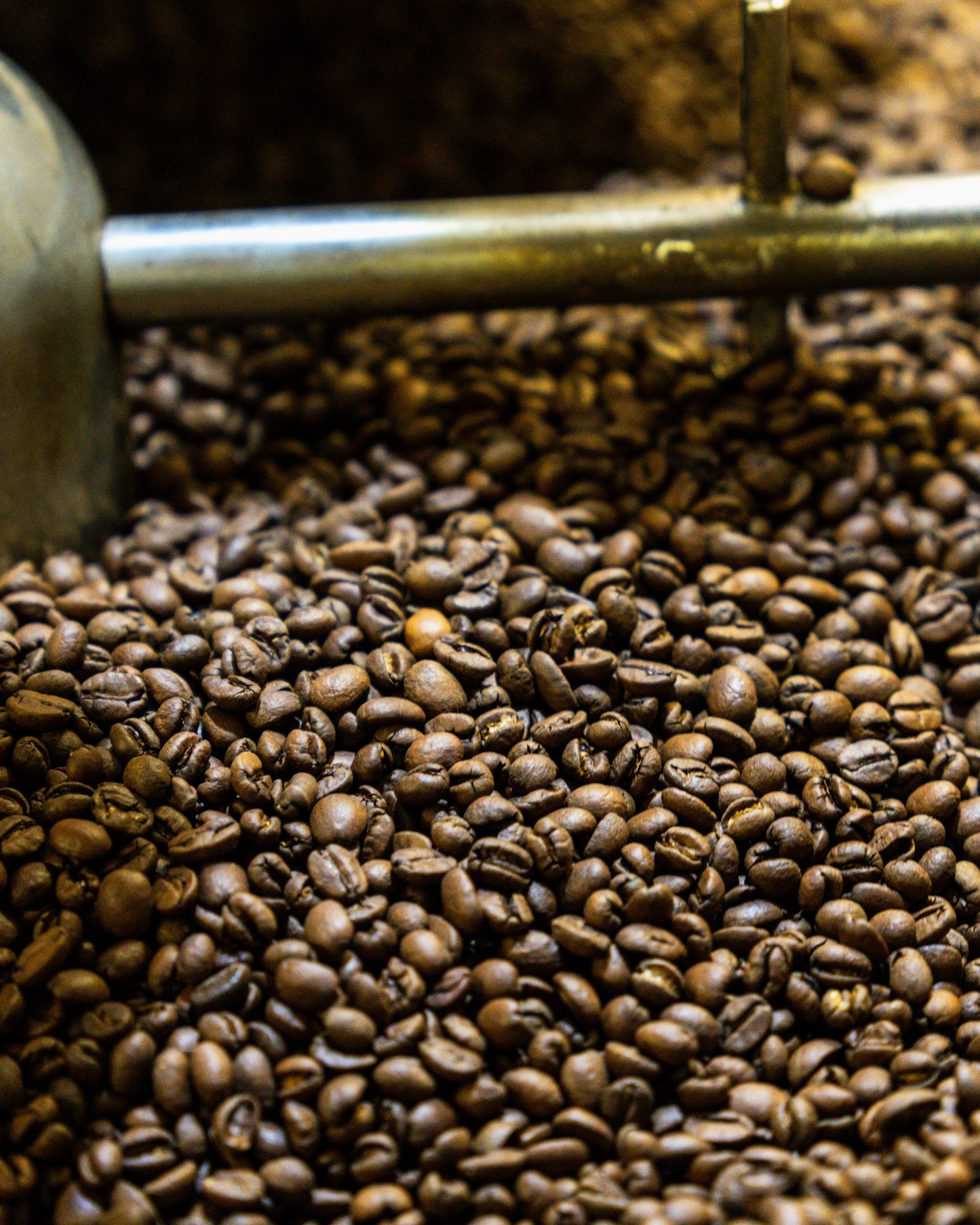 Maison Schreiber - Black’S - 250g - Coffao