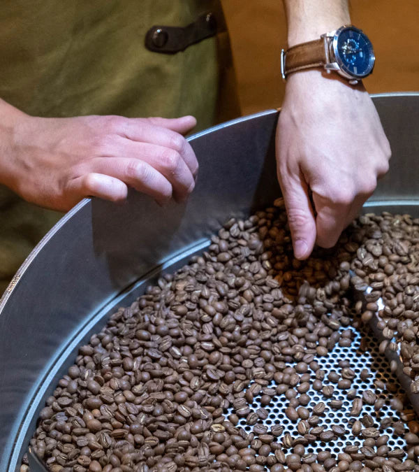 Loutsa - ARHUACO BIO - 250g - Coffao