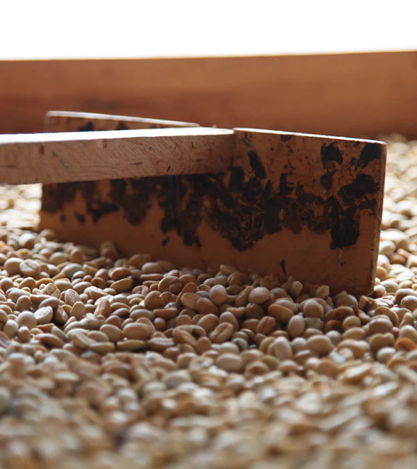 Loutsa - ESPRESSO BIO - 250g - Coffao