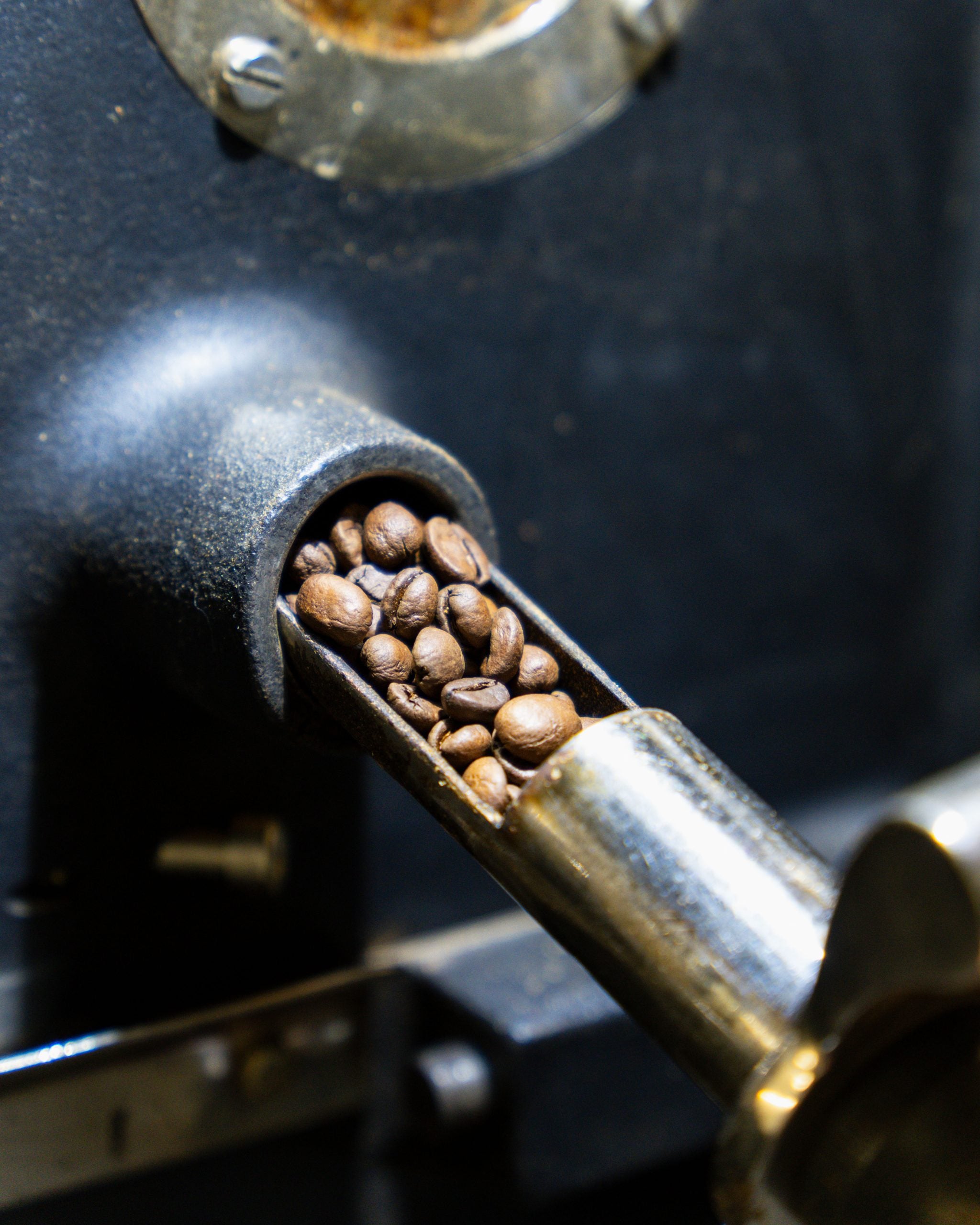Esperanza Café - Congo - 250g