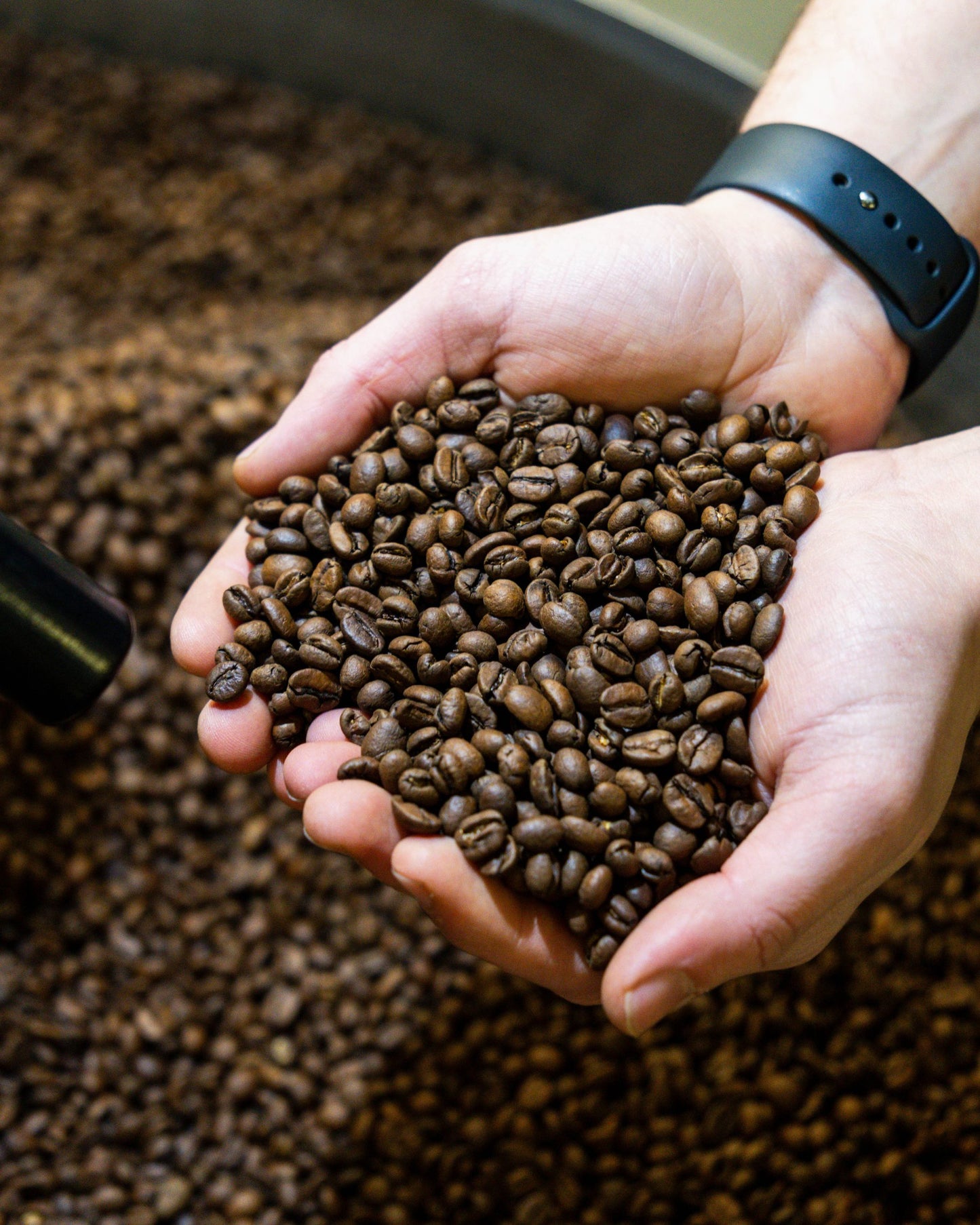 Cafés Ciel - ÉTHIOPIE Guji (Fairtrade) - 250g