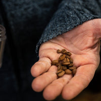 Café Magali - Ethiopie - 250g