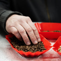Café Magali - El Salvador - 250g