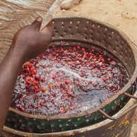 Loutsa - HABTAMU BIO - 250g