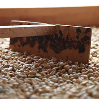 Loutsa - ESPRESSO BIO - 250g