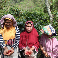 Loutsa - KETIARA GAYO BIO - 250g