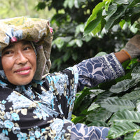Loutsa - KETIARA GAYO BIO - 250g