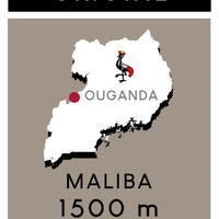 Café Guzo - Ouganda Maliba - 250g